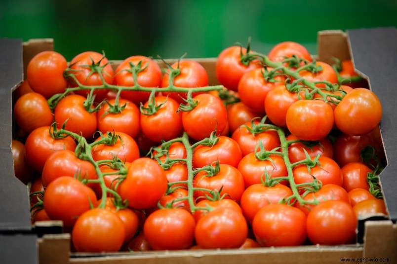 El tomate es el superalimento que ha estado delante de nuestras narices todo este tiempo 