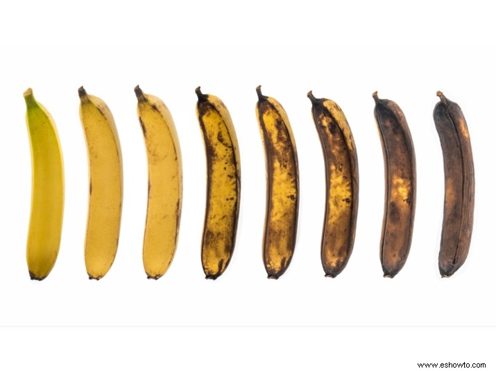 Internet no puede decidir qué plátano en esta alineación es el perfecto 