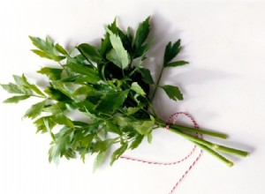 Levístico (Apio de Monte): Rico en Vitamina C y con un Sabor a Apio Irresistible