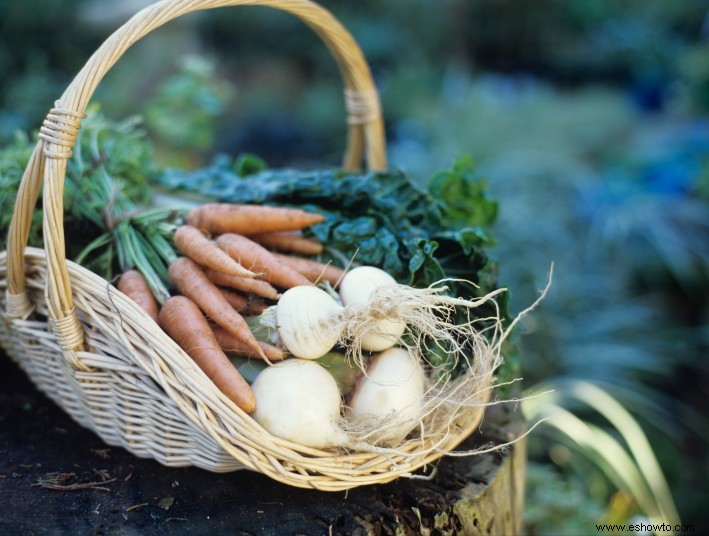 3 verduras que puedes cultivar ahora mismo que no necesitan mucho espacio para prosperar 