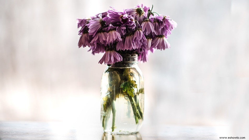 Cómo hacer que las flores duren más con este ingenioso truco de vodka 