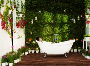 10 plantas ideales para el baño: decoran tu espacio y purifican el aire