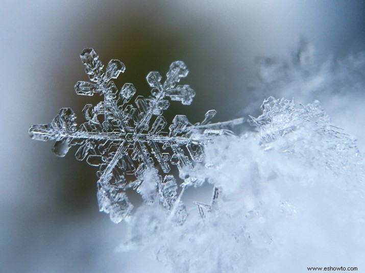 La tormenta de invierno Inga traerá  hielo peligroso  a muchos estados esta semana 