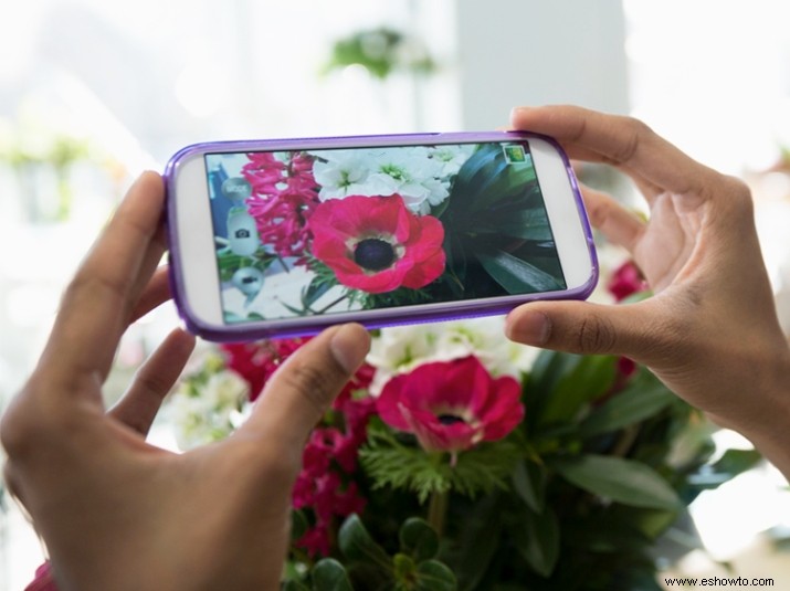 Identifique flores bonitas en un abrir y cerrar de ojos con la práctica aplicación de jardinería 