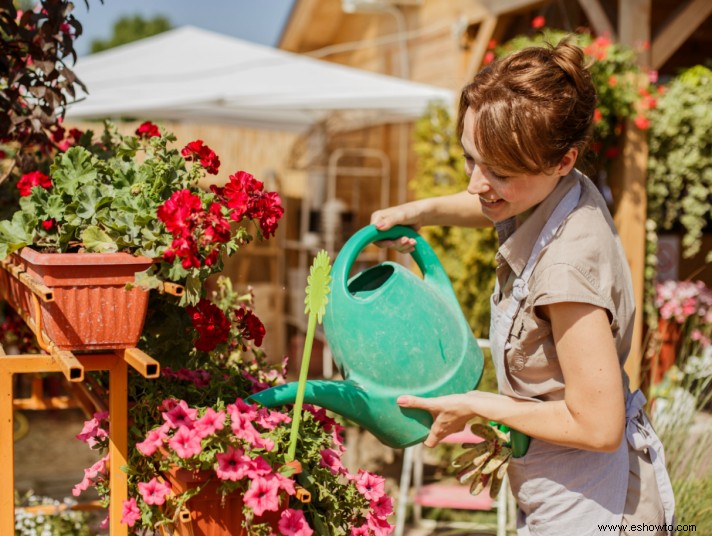 5 razones por las que agosto es el mejor mes para comenzar un jardín 