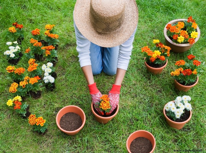 5 mitos de jardinería ampliamente creídos que deberías comenzar a ignorar 