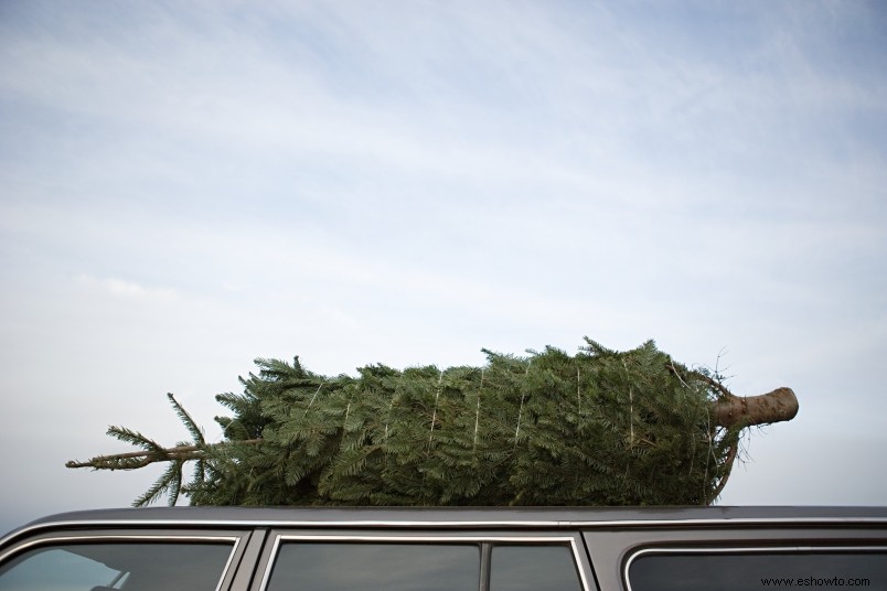 Amazon ahora entregará árboles de Navidad recién cortados de todos los tamaños en la puerta de su casa 