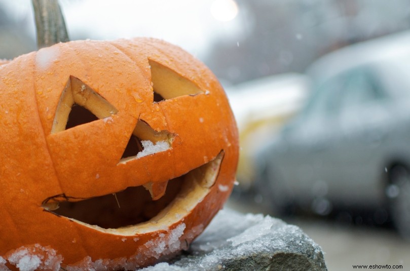 ¿Cuáles son las posibilidades de un Halloween blanco este año? 