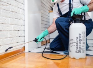 Cómo prevenir plagas en el hogar este invierno: consejos de expertos en control de plagas