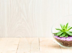 Terrarios para plantas de interior: trae la primavera a tu hogar este invierno