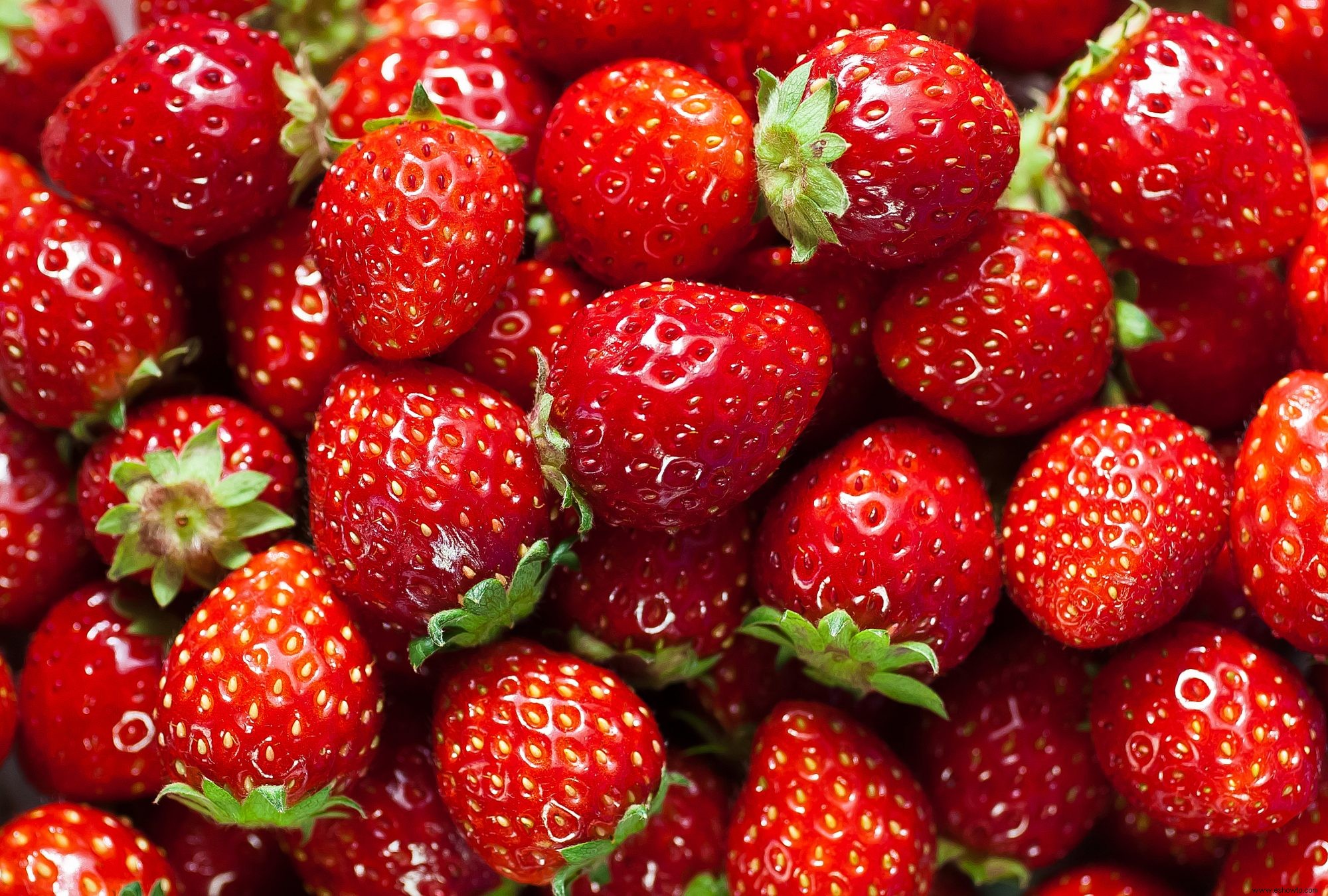 11 fresas rellenas que hacen el mini postre perfecto 