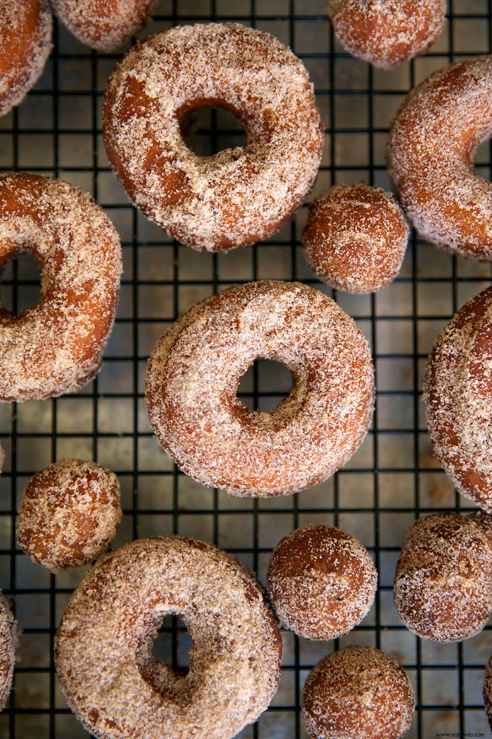 Tienes que probar estas donas de sidra de manzana deliciosamente dulces y especiadas con canela 