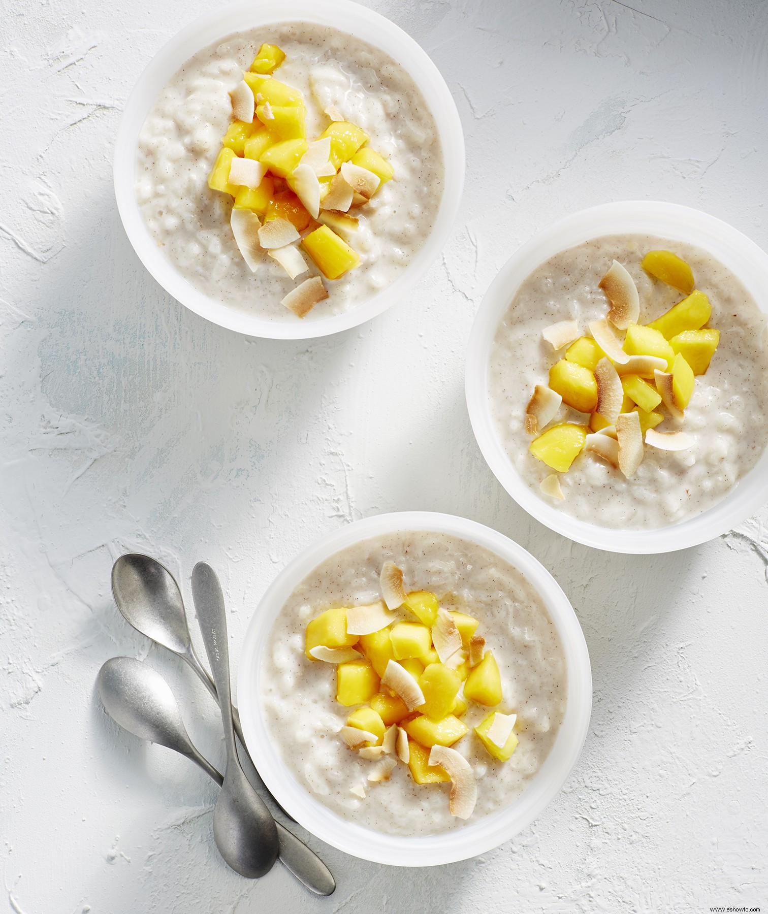 Pudin de arroz con coco 