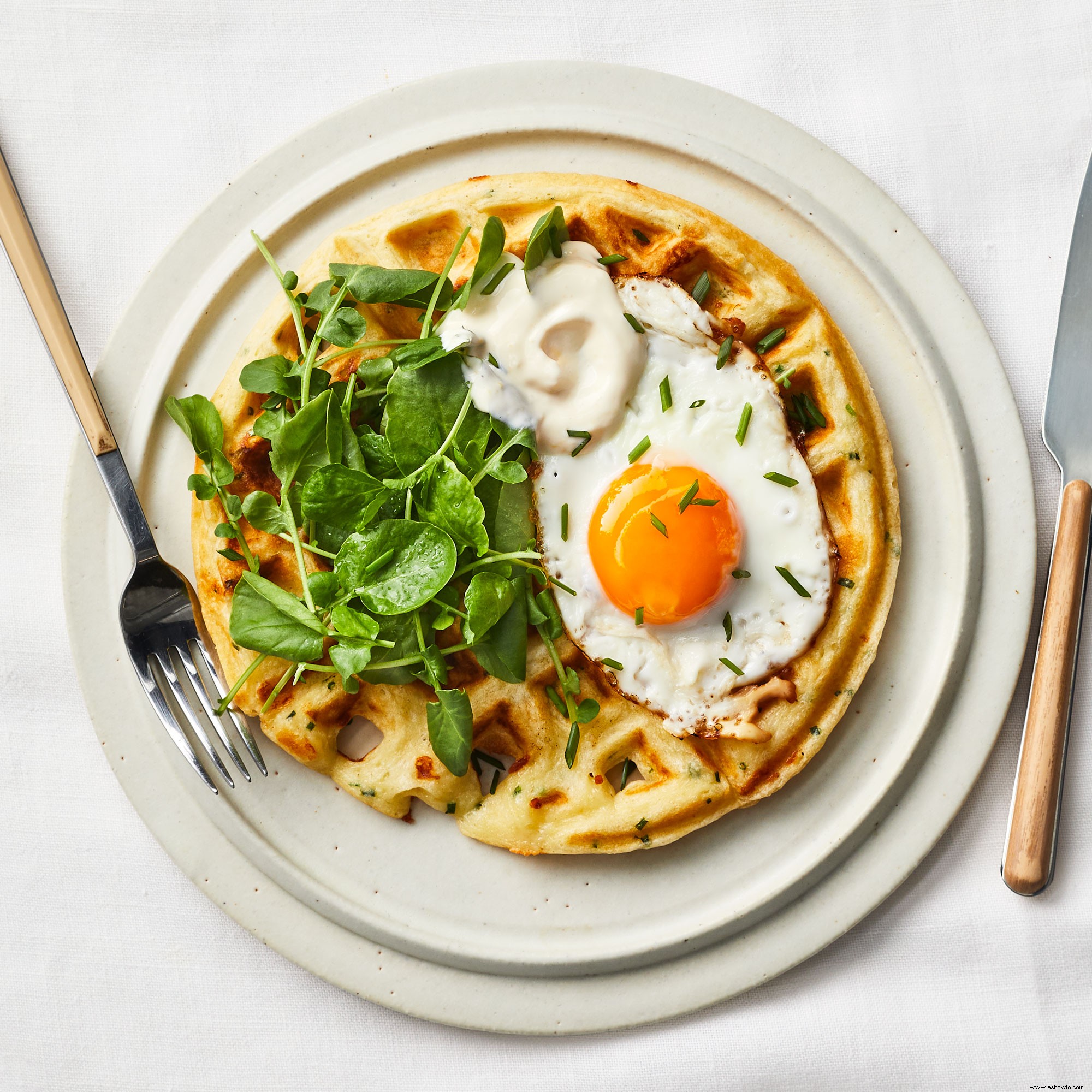 Waffles De Cebollino Con Queso Y Huevos Fritos 