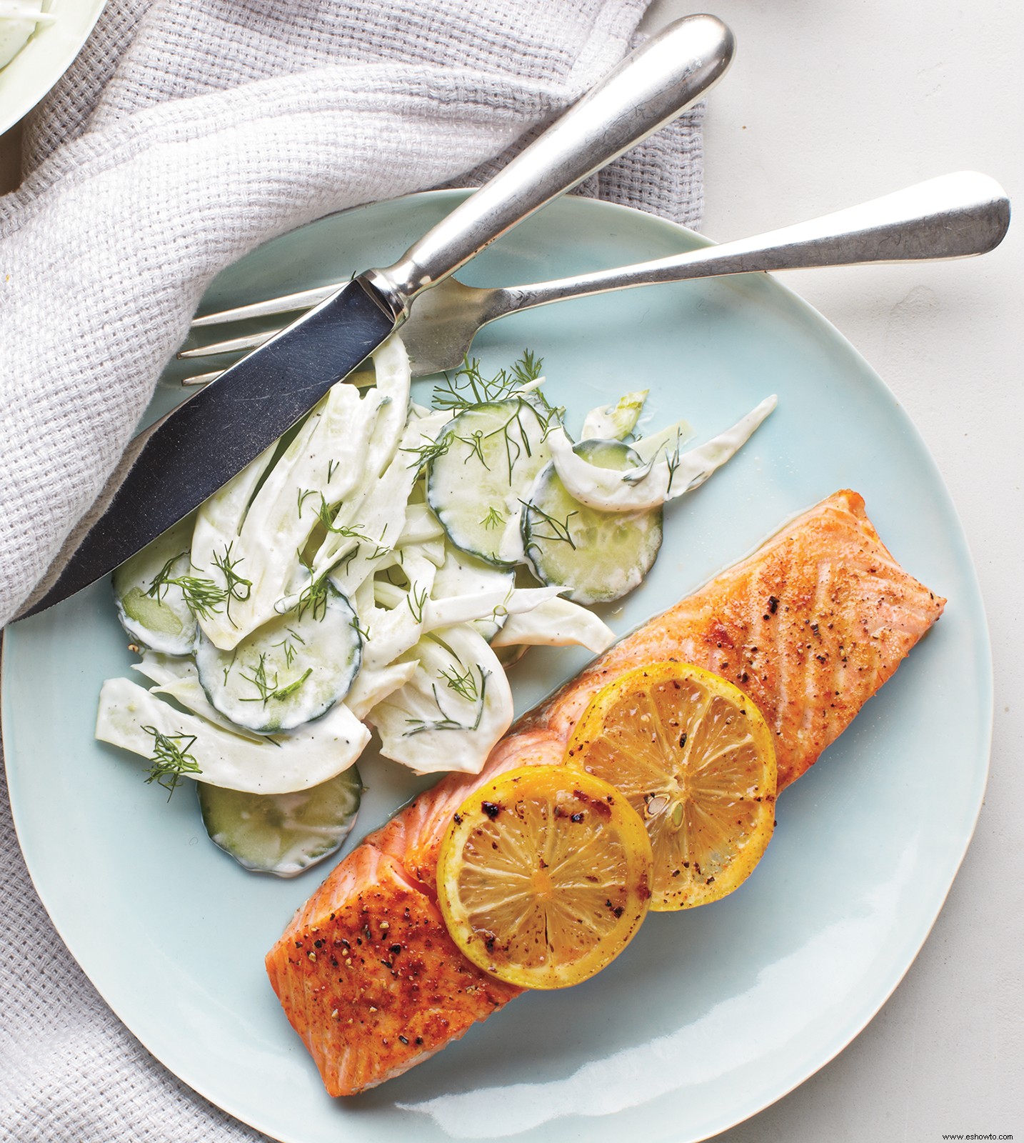 Salmón Con Ensalada Cremosa De Pepino E Hinojo 