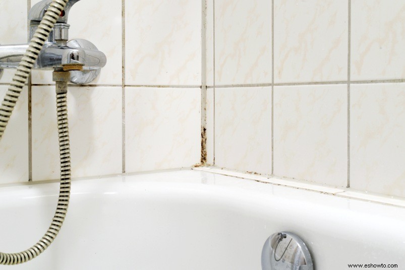 Elimine el moho y los hongos de las baldosas de las esquinas de la bañera con este simple truco 