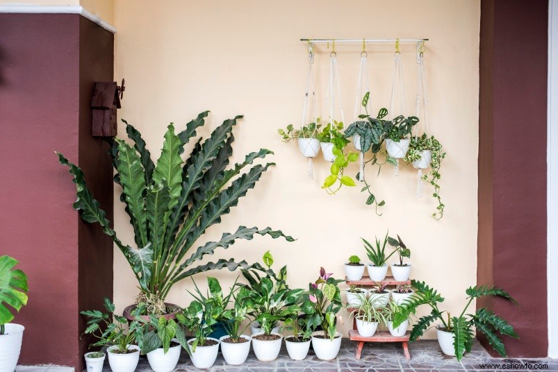 6 soluciones para maximizar el espacio y el estilo en un jardín pequeño 