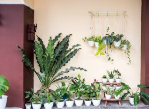 6 Soluciones Expertas para Maximizar Espacio y Estilo en Jardines Pequeños