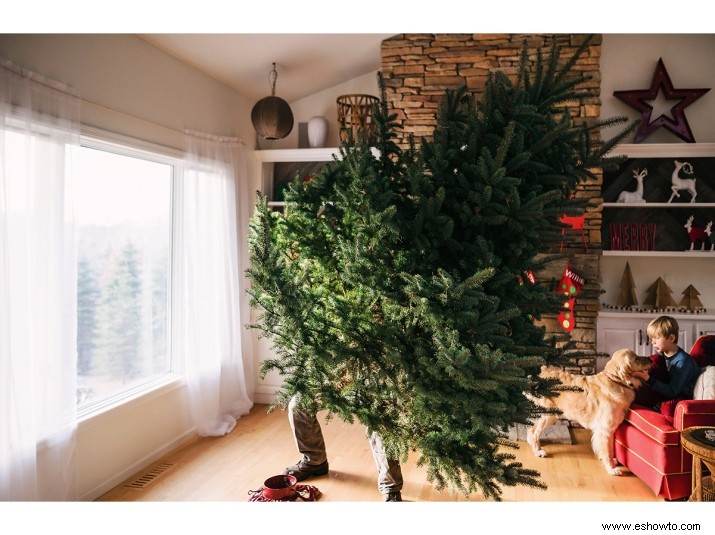 7 formas de reciclar tu árbol de Navidad 