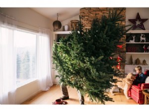 7 formas de reciclar tu árbol de Navidad 