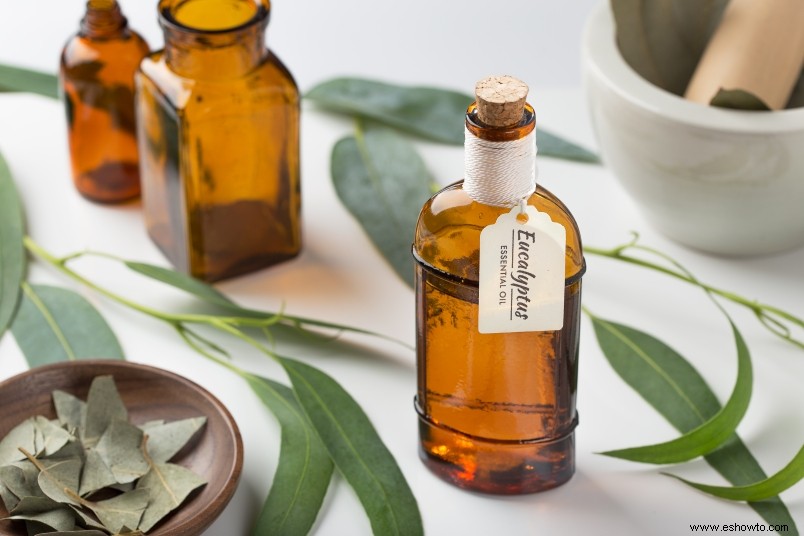 10 cosas que deberías estar limpiando con aceite de eucalipto 