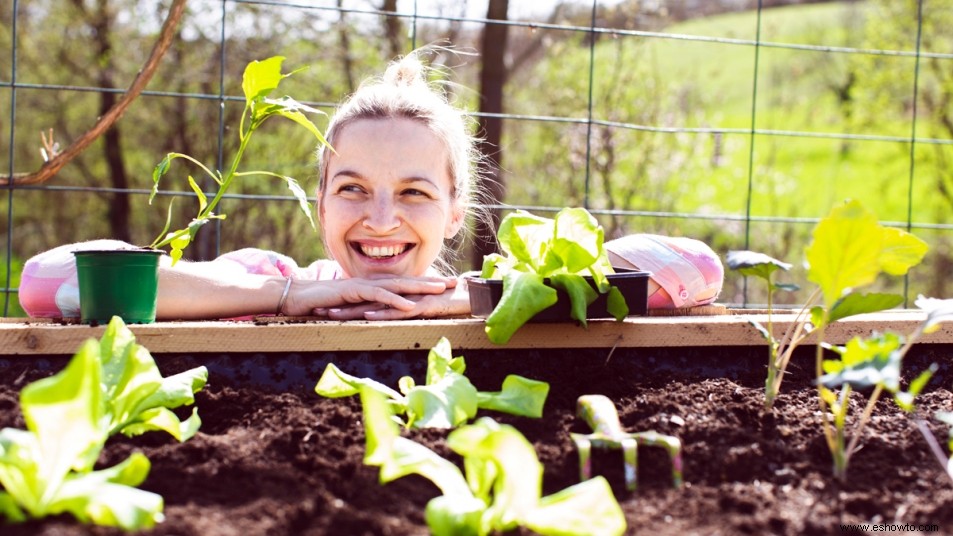 Jardinería 101:todo lo que necesita saber para plantar el jardín de sus sueños esta primavera 