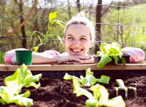 Jardinería para principiantes: 7 pasos esenciales para crear el jardín de tus sueños esta primavera