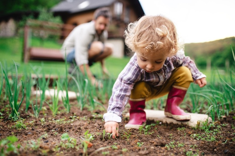 Cómo lograr que sus hijos disfruten de la jardinería 