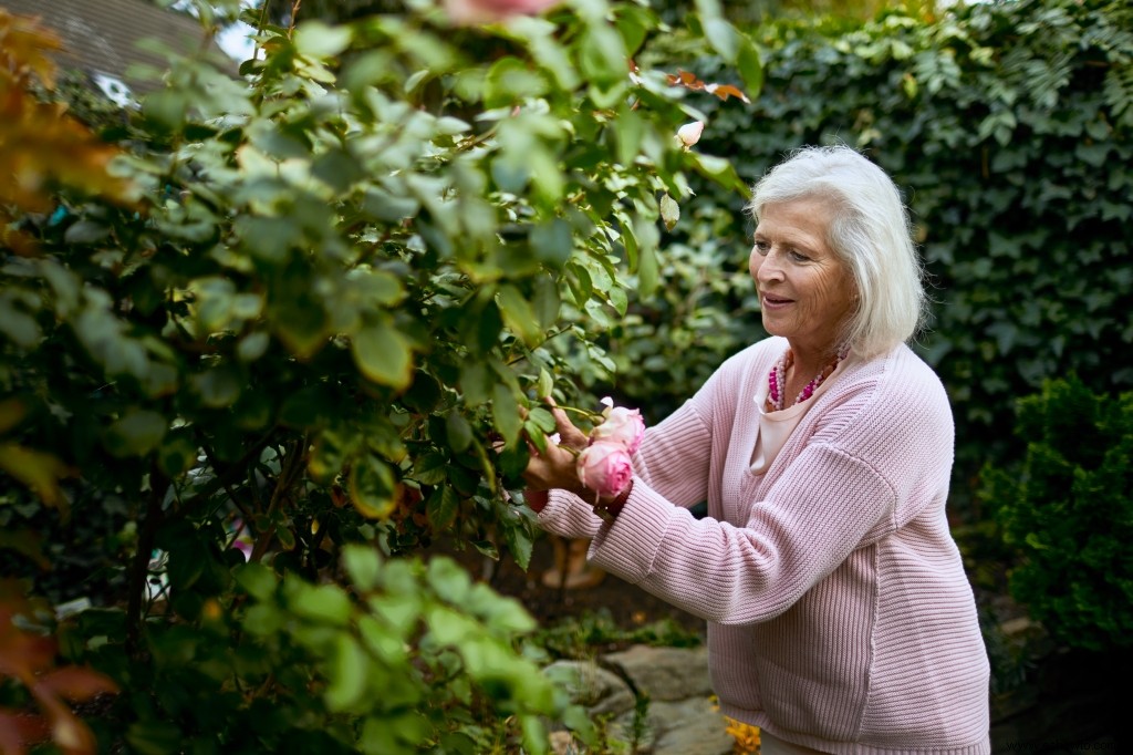 Todo lo que necesita saber sobre la poda de sus plantas esta primavera 