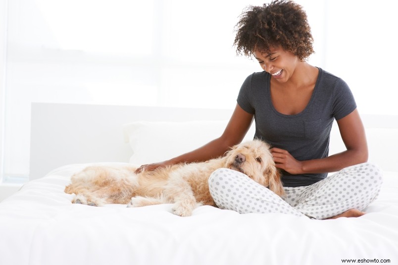 5 maneras en que dormir con tu mascota puede brindarte una mejor noche de descanso 