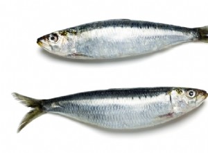 Olor a pescado en casa sin cocinar: alerta de fallo eléctrico y riesgo de incendio