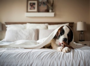 ¿Con qué frecuencia cambiar las sábanas? Recomendaciones de expertos para un sueño saludable