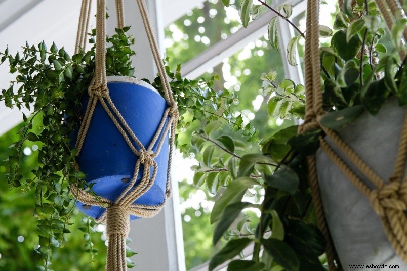 Cómo hacer tu propio colgador de plantas de macramé 