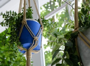 Tutorial Fácil: Cómo Hacer un Colgador de Plantas de Macramé en Casa