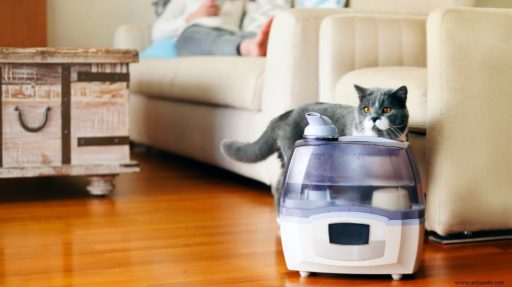 Cómo limpiar un humidificador y con qué frecuencia debe hacerlo 