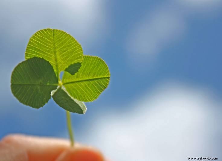 5 bendiciones irlandesas para compartir con tus seres queridos en el día de San Patricio 