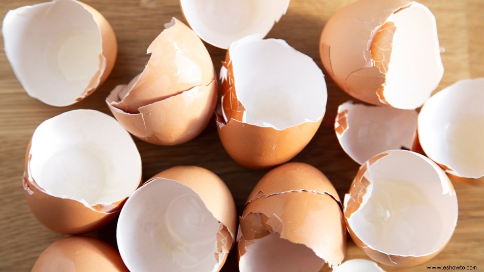 10 usos domésticos brillantes para las cáscaras de huevo 
