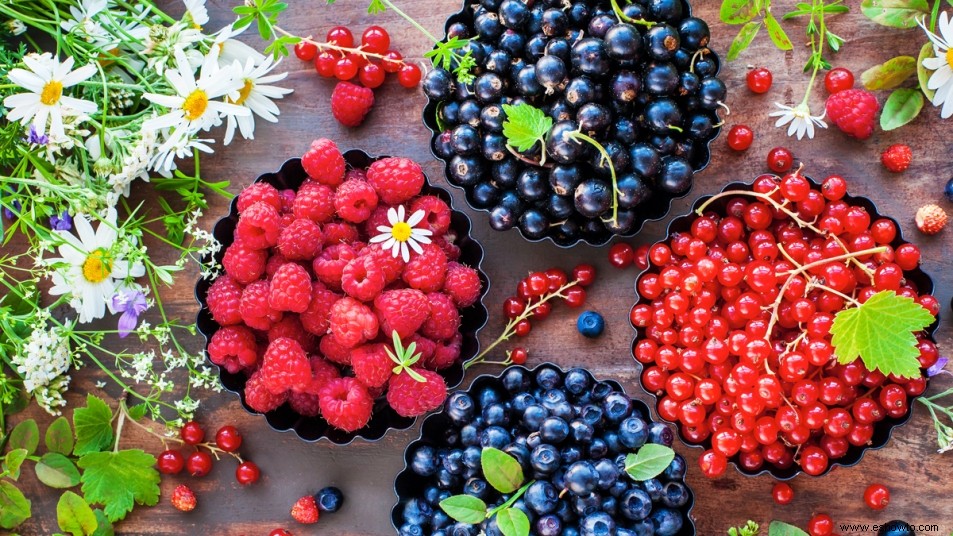 Este simple truco protegerá tu jardín de los pájaros hambrientos y otras criaturas 