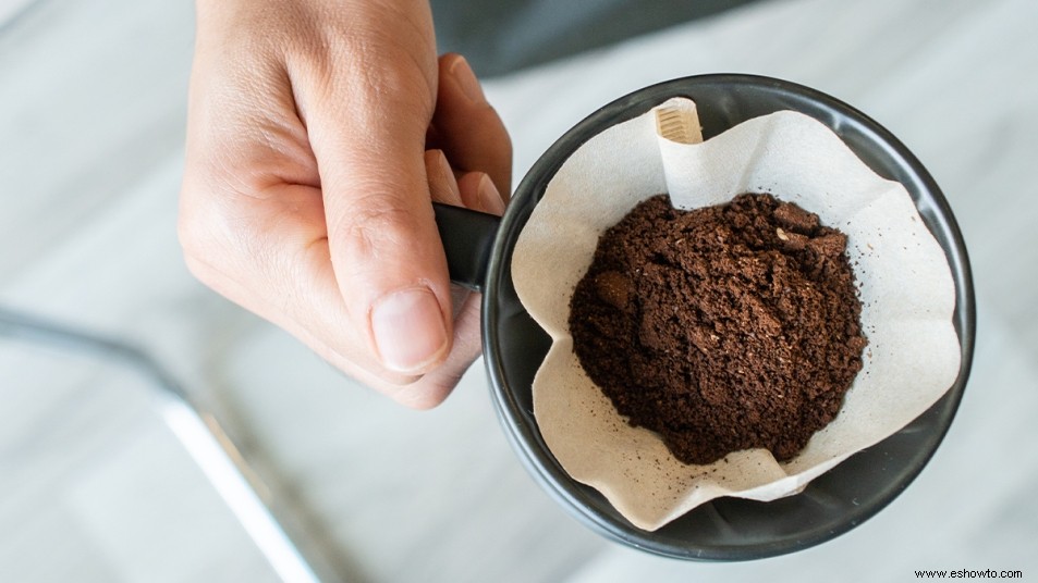 ¡No deseche los posos de café usados! Pueden ayudar a que su jardín prospere esta primavera 