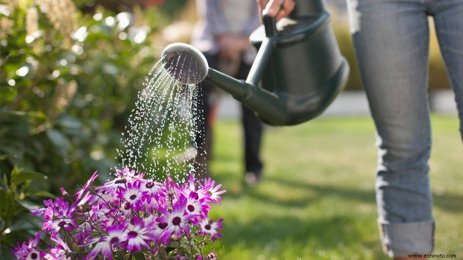 3 consejos profesionales para mantener un jardín hermoso esta primavera 