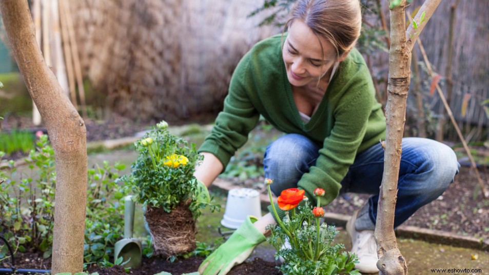 Cómo limpiar las herramientas de jardinería para que brillen como nuevas 