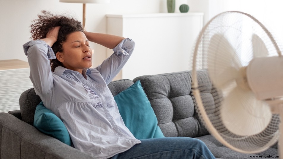 Los 4 mejores tipos de ventiladores para mantenerte fresco durante todo el verano 