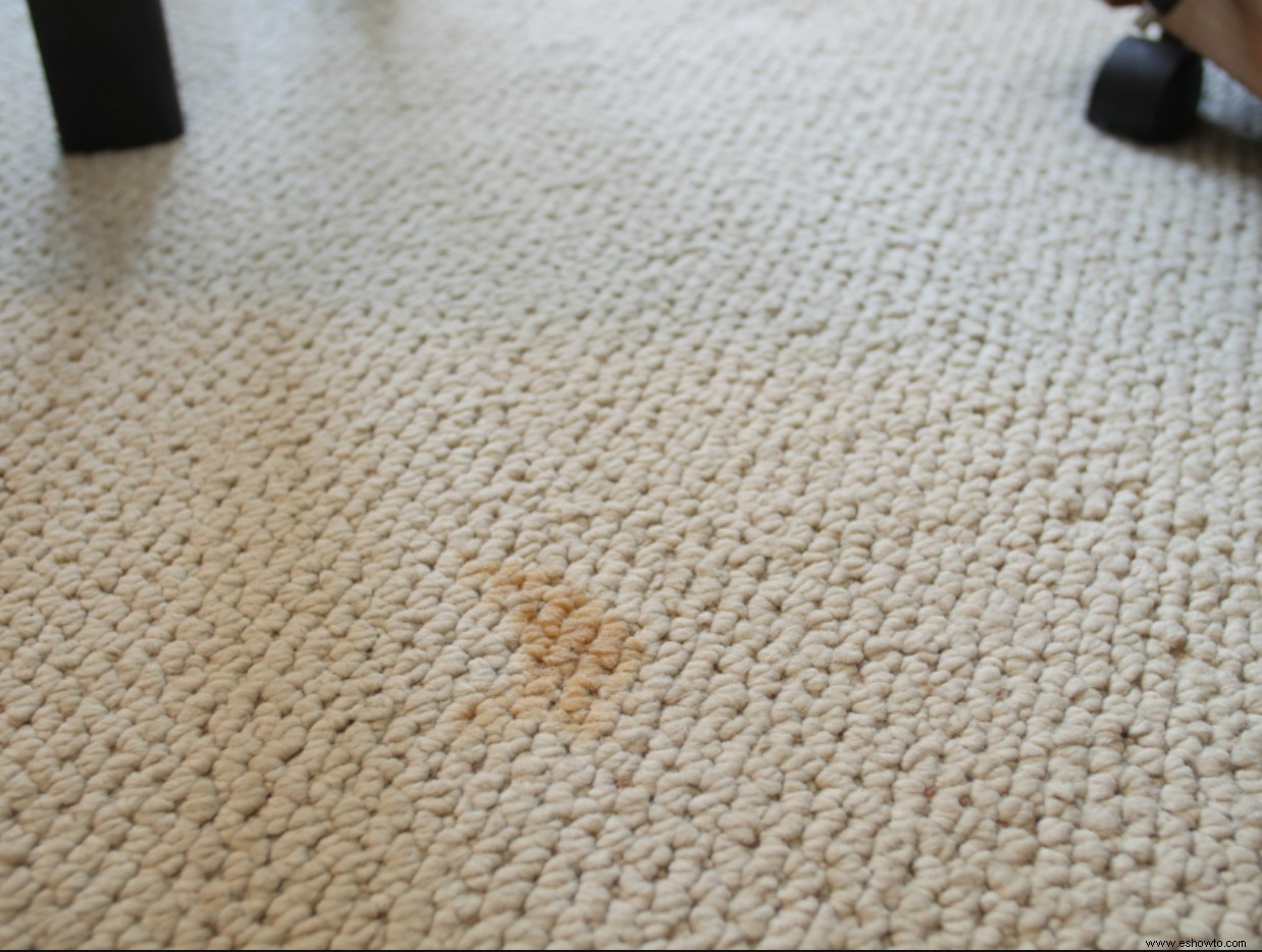 Cómo hacer una limpieza profunda de alfombras sin una máquina y las mejores soluciones caseras para la limpieza de alfombras 