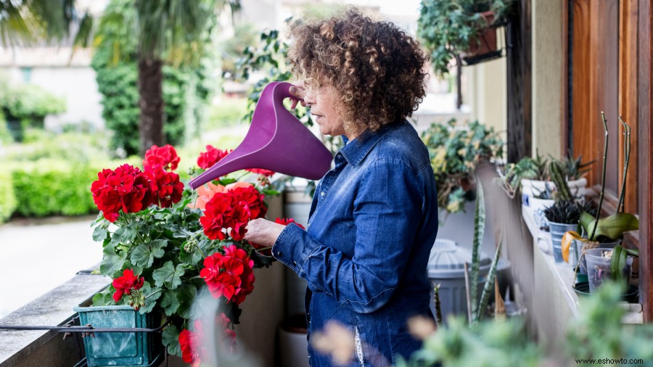 Este truco de riego rápido mantendrá vivas tus plantas mientras estás de vacaciones 