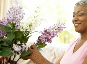 5 Consejos Expertos de la Florista Dra. Lisa Cooper para Renovar tu Hogar con Flores