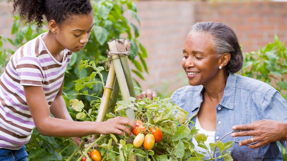 5 sencillos consejos para cultivar una huerta saludable en casa 