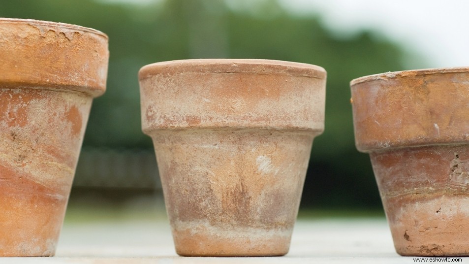 El residuo blanco en sus macetas de terracota puede estar dañando sus plantas:aquí le mostramos cómo evitarlo 