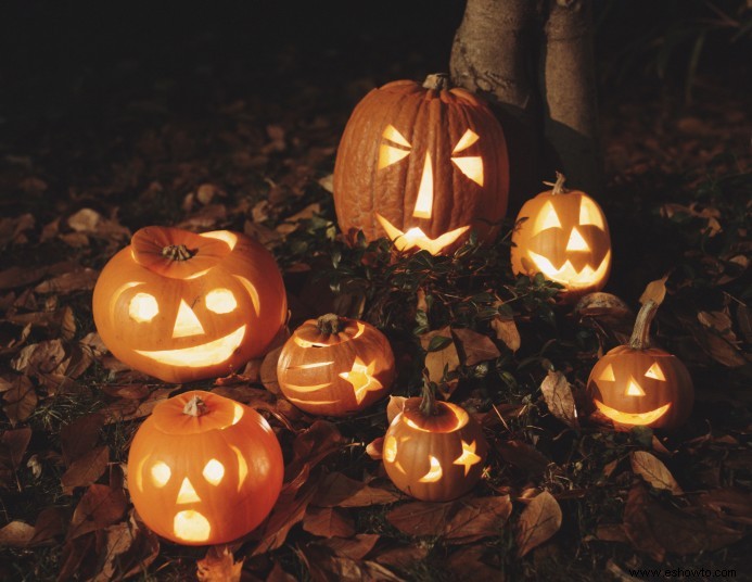 ¿Cuánto duran las calabazas talladas? Mantenga sus Jack-o -Lanterns el mayor tiempo posible 