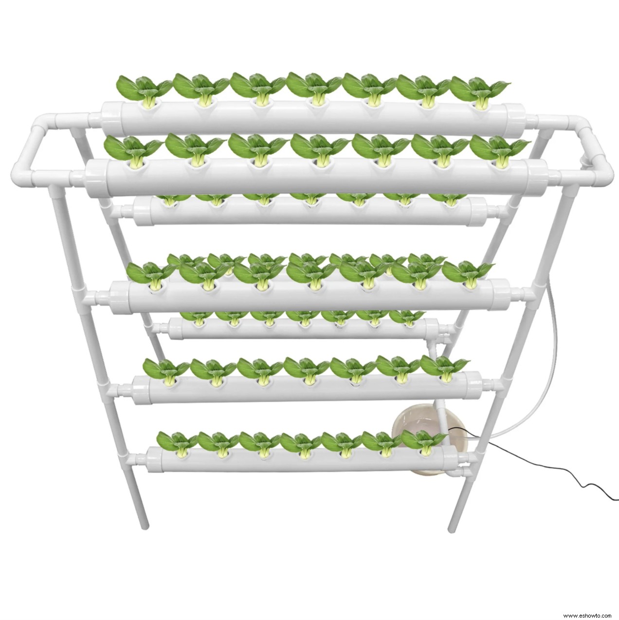 La agricultura vertical es una forma de ahorrar espacio para cultivar frutas y verduras en el hogar:así es como 