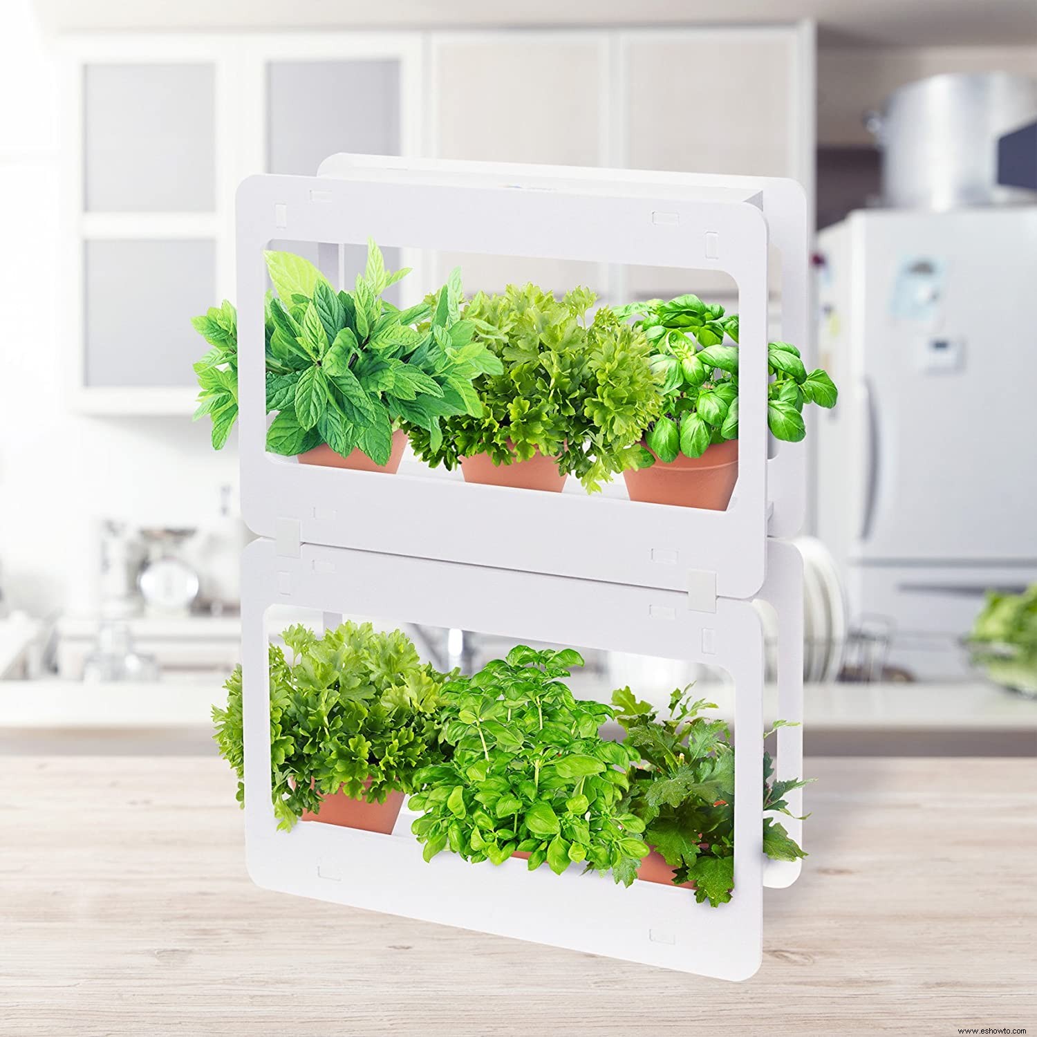 La agricultura vertical es una forma de ahorrar espacio para cultivar frutas y verduras en el hogar:así es como 